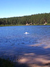 Beautiful women of a certain age show off their skills.