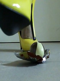 Classy-looking experienced chicks demonstrate their skills